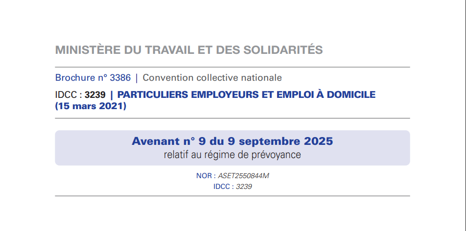 Avenant n°9 : une nouvelle dénomination pour valoriser les métiers de l’enfance à domicile